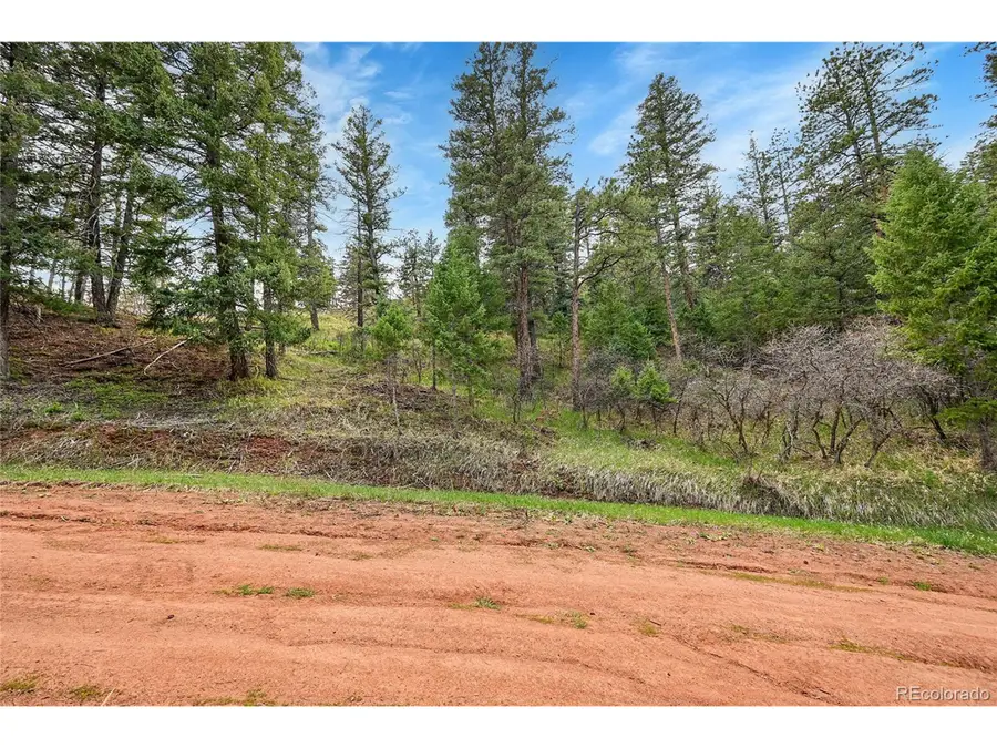 8093 Acoma Dr, Larkspur, CO 80118 - #3