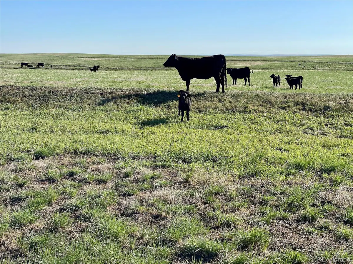 9 County Road 166, Deer Trail, CO 80105 - #1