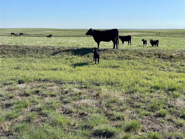 9 County Road 166, Deer Trail, CO 80105