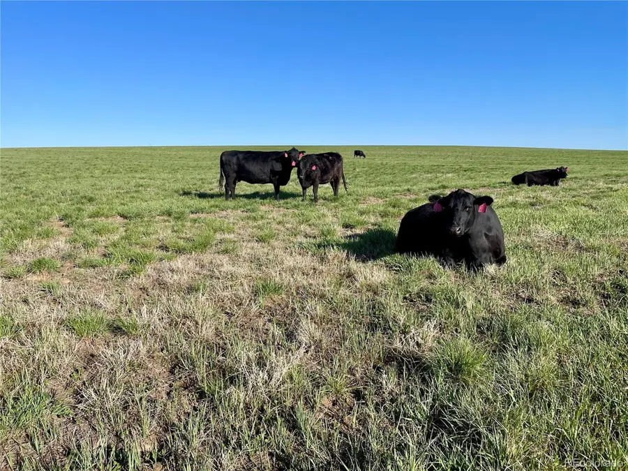 9 County Road 166, Deer Trail, CO 80105 - #3