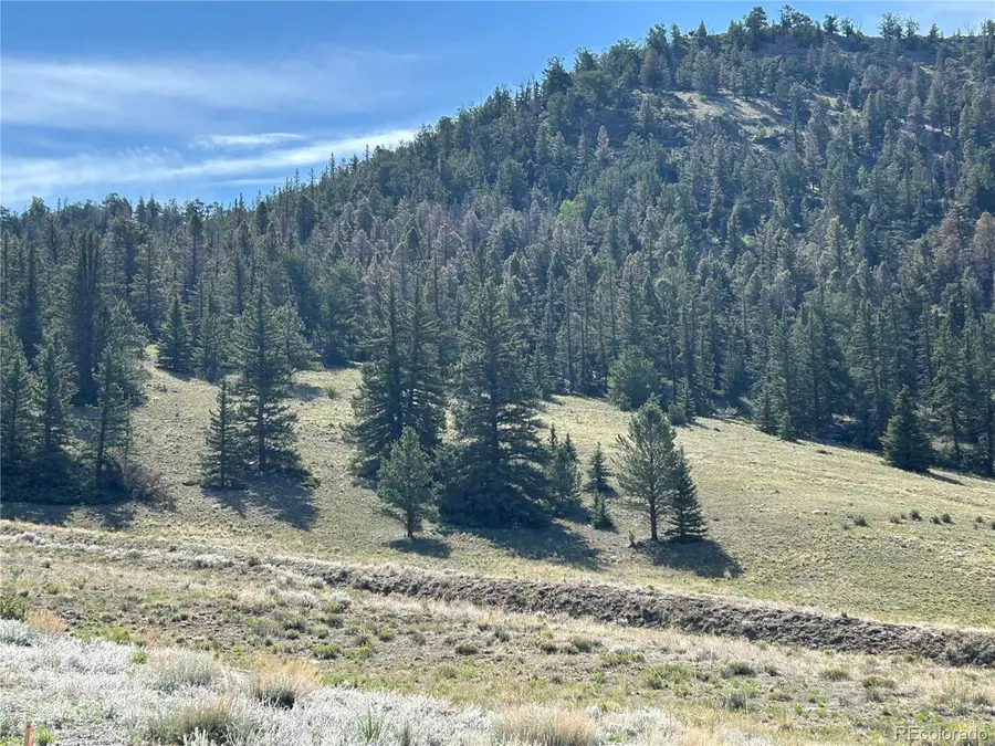 Hwy 285/24, Buena Vista, CO 81211 - #3