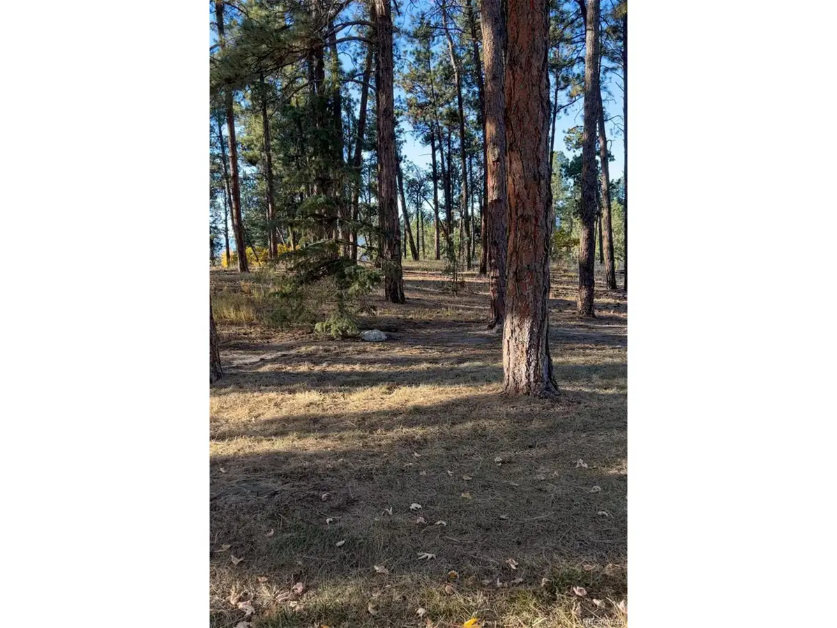 Rancho Escondido Lot 23c, Weston, CO 81091 - #1