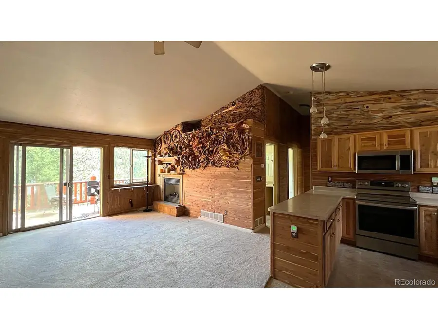 303 Virginia Rd #E, Bailey, CO 80421 - Image #2