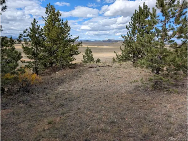 Tonkawa Rd, Hartsel, CO 80449