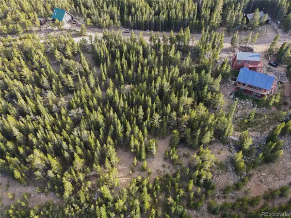 328 Eva Rd, Idaho Springs, CO 80452