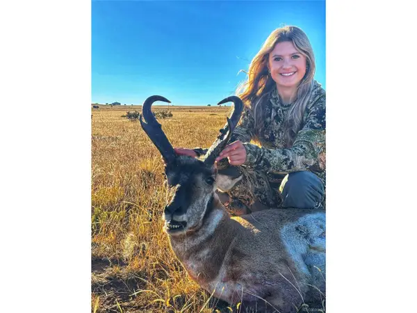 19 Majors Ranch, Walsenburg, CO 81089