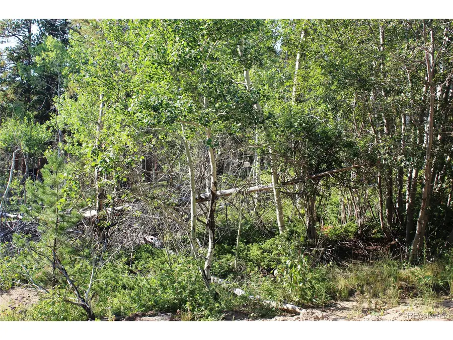 28 Sunflower Ln, Black Hawk, CO 80422 - Image #2