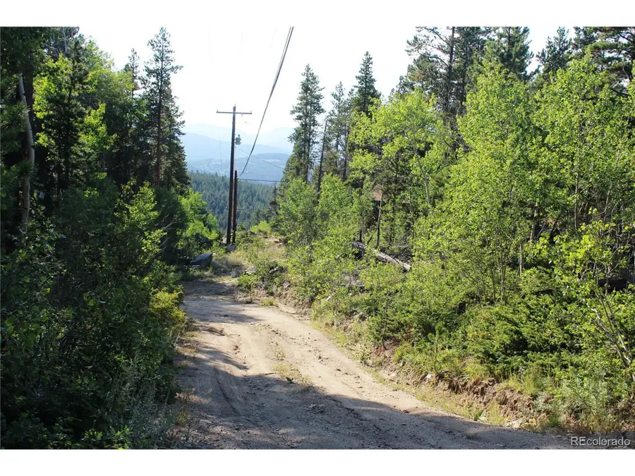 28 Sunflower Ln, Black Hawk, CO 80422 - Image #3