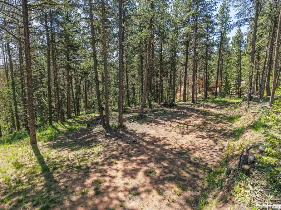 7 S Wallace Ave, Conifer, CO 80433 - Image #2