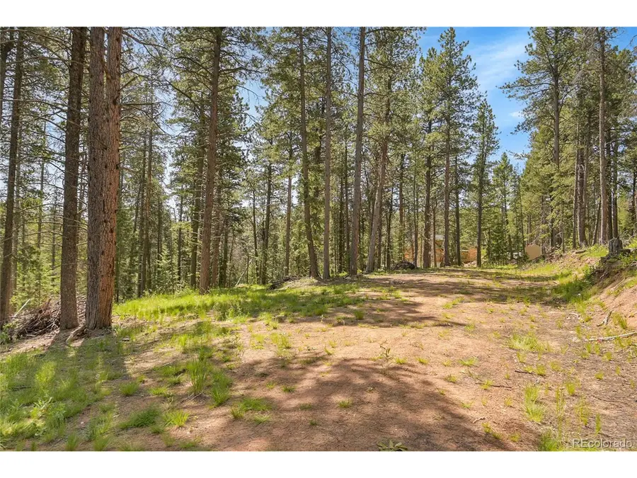 7 S Wallace Ave, Conifer, CO 80433 - Image #3