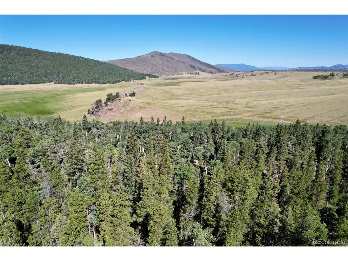 2452 Petito Dr, Fort Garland, CO 81133 - Image #1