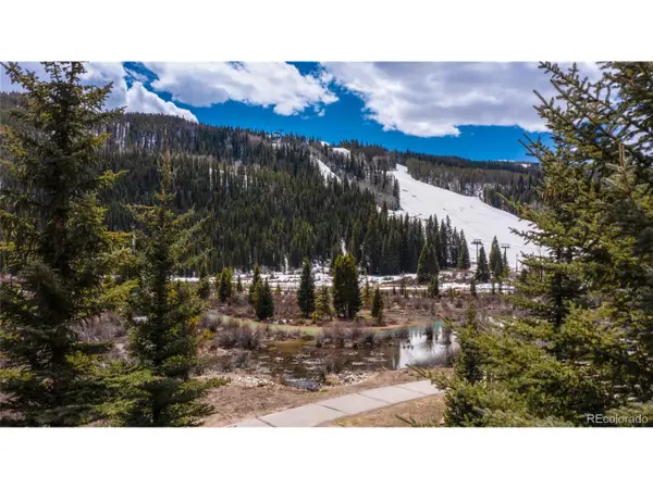 58 Hawk Cir #2342, Dillon, CO 80435