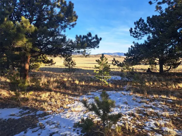 186 Boulder Rd, Hartsel, CO 80449