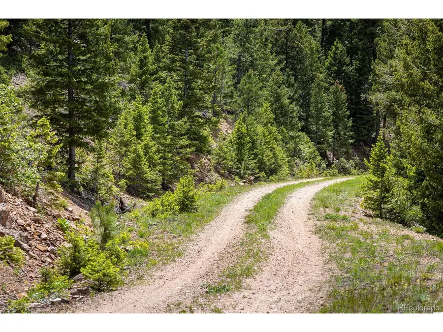 1259 Chute Rd, Golden, CO 80403 - Image #3