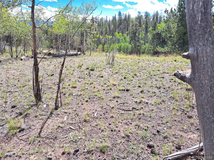 6452 Remington Rd, Como, CO 80432 - Image #3