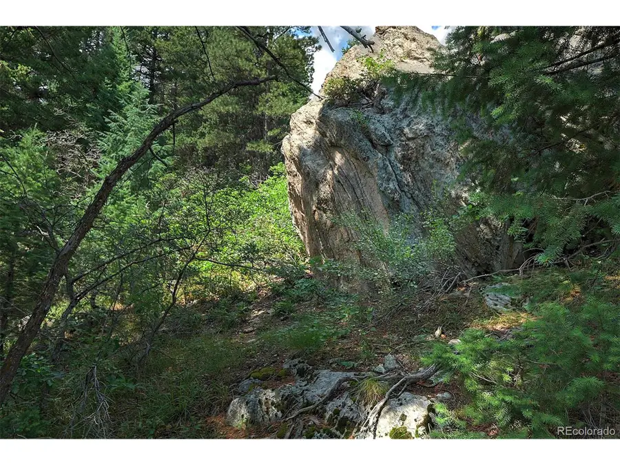 13884 N Trail Cir, Littleton, CO 80127 - #3