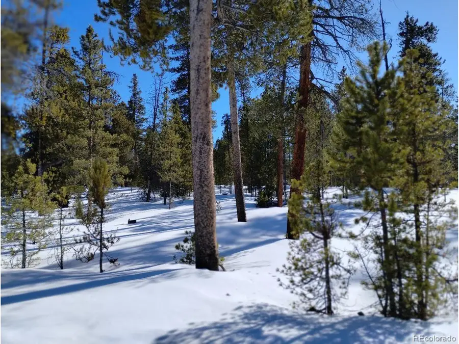 416 Cedar Dr, Leadville, CO 80461 - #2