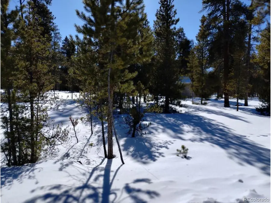 416 Cedar Dr, Leadville, CO 80461 - #3