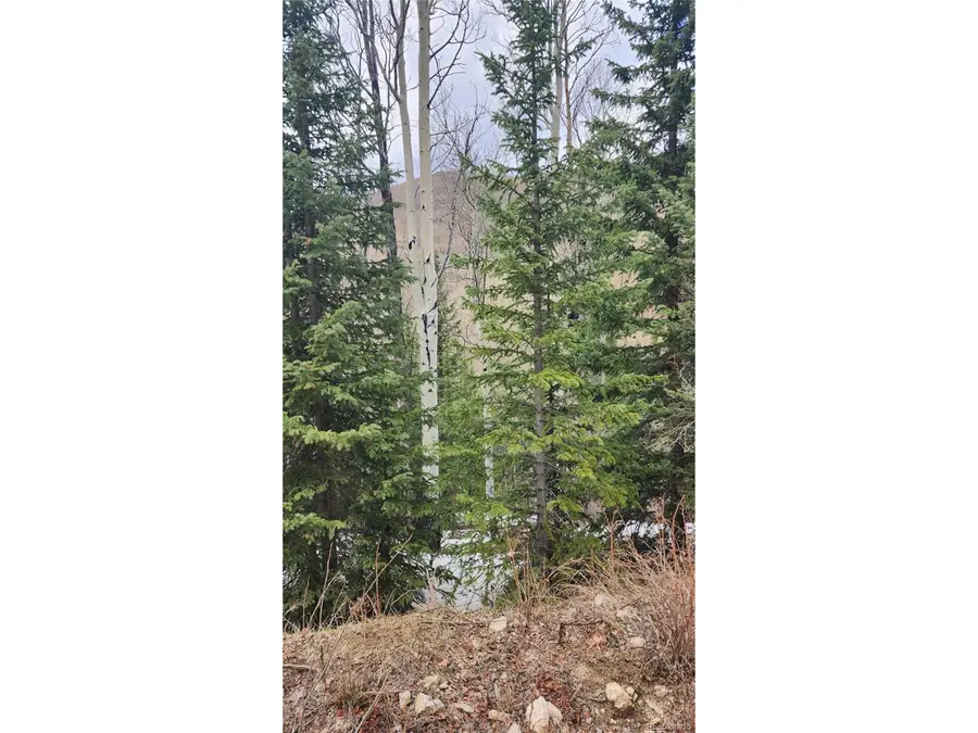 6435 Bronfman Rd, San Luis, CO 81152 - #2