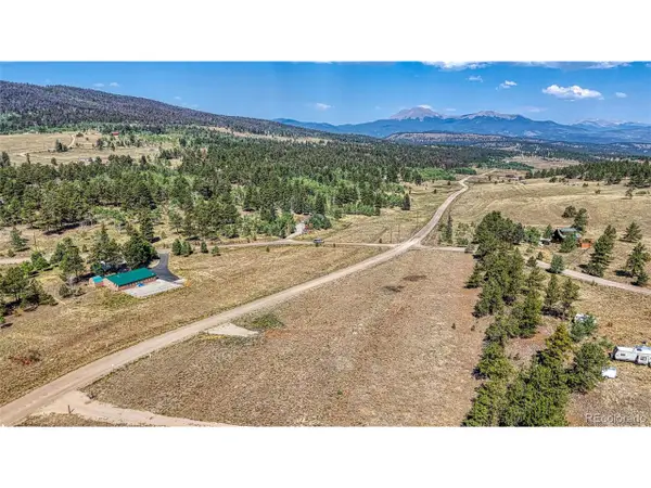 2538 Windmill Dr, Hartsel, CO 80449