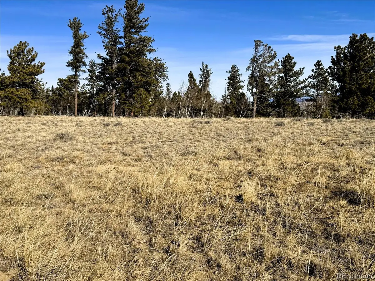 620 Wagon Wheel Rd, Hartsel, CO 80449 - Image #1