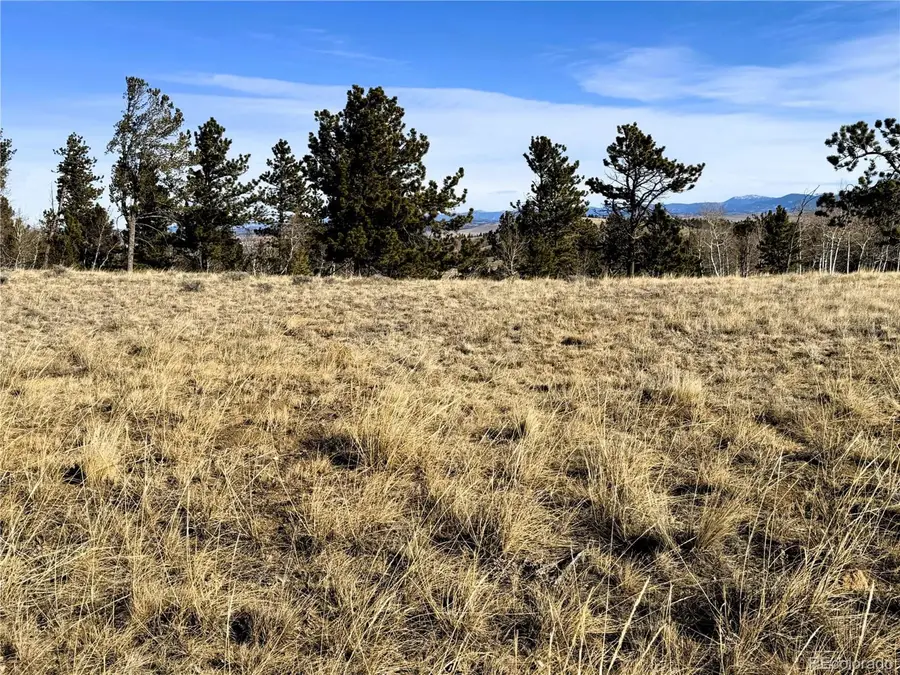 620 Wagon Wheel Rd, Hartsel, CO 80449 - Image #3