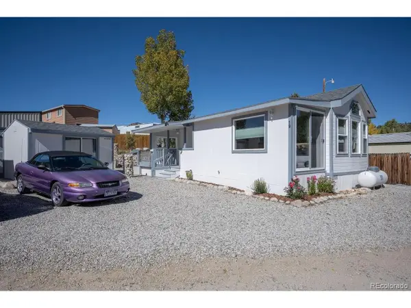 10795 County Road 197a #19, Nathrop, CO 81236