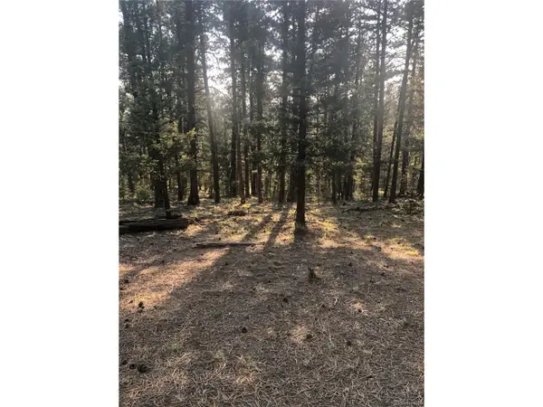 469 Echo Lake Dr, Lake George, CO 80827