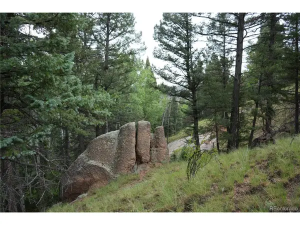 28 Feldspar Rd, Florissant, CO 80816