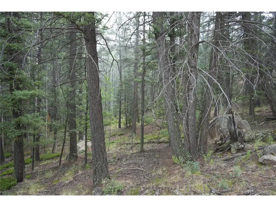 28 Feldspar Rd, Florissant, CO 80816 - Image #3
