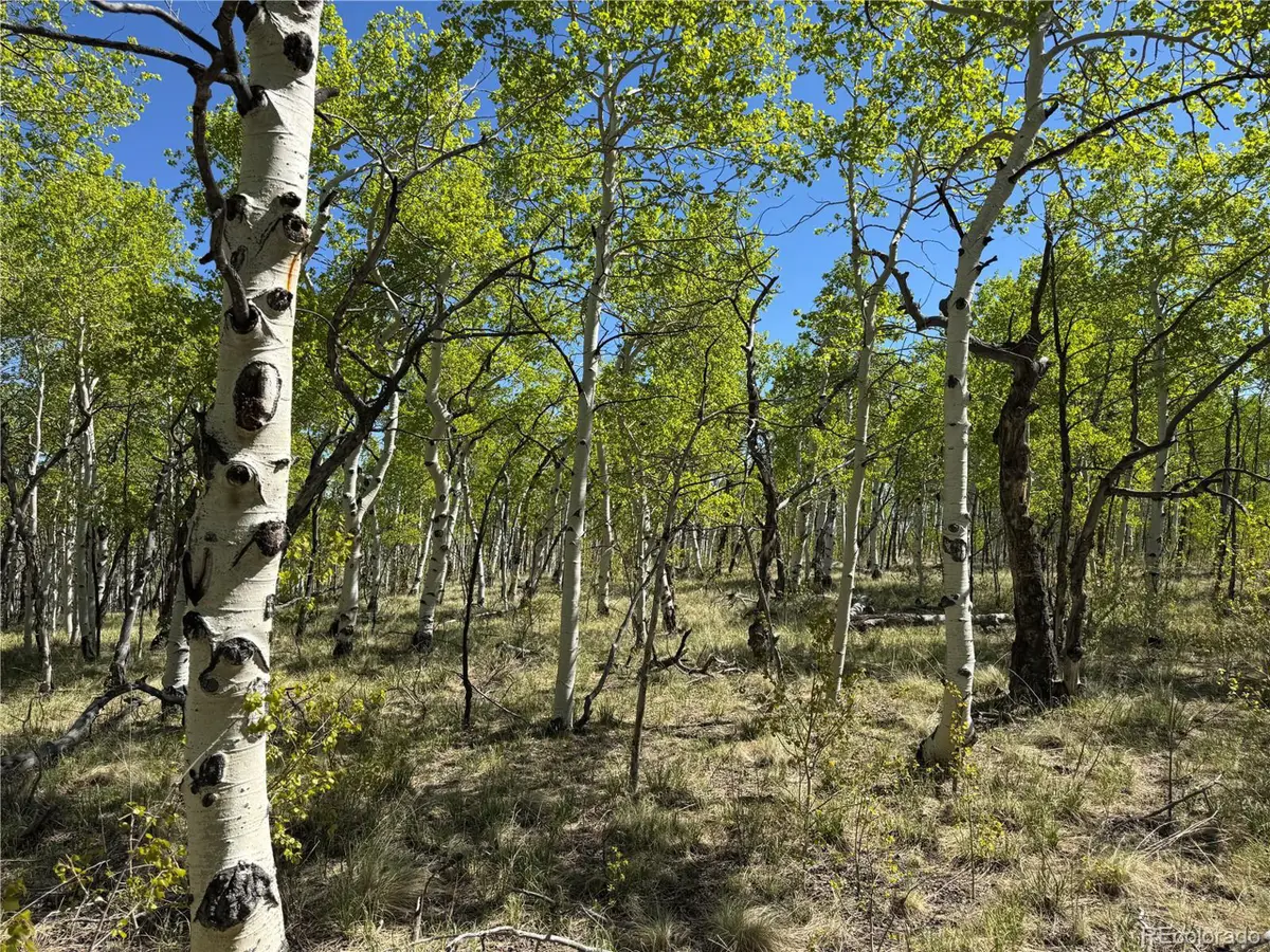 Address Withheld By Seller, Hartsel, CO 80449 - Image #1