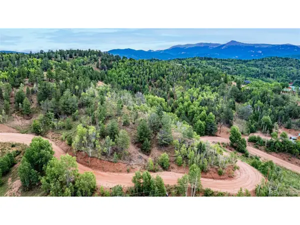 1693 Golden Cycle Cir, Cripple Creek, CO 80813