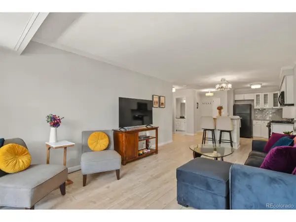 800 N Washington St #307, Denver, CO 80203