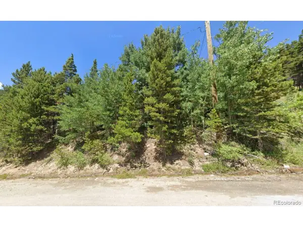 123 Nebraska Dr, Idaho Springs, CO 80452