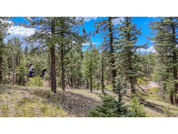 18 Falcon Cir, Florissant, CO 80816