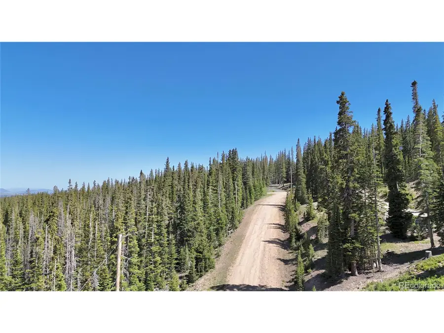 Address Withheld By Seller, Fairplay, CO 80440 - #3