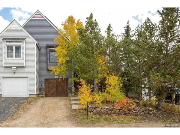 815 Vendome Ave #7, Leadville, CO 80461