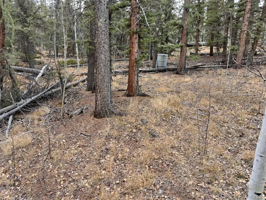 210 Tepee Trl, Como, CO 80432 - #2