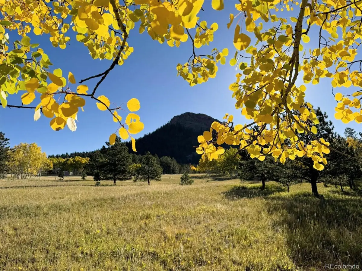 1965 Vagabond Creek Dr, Lake George, CO 80827 - #1