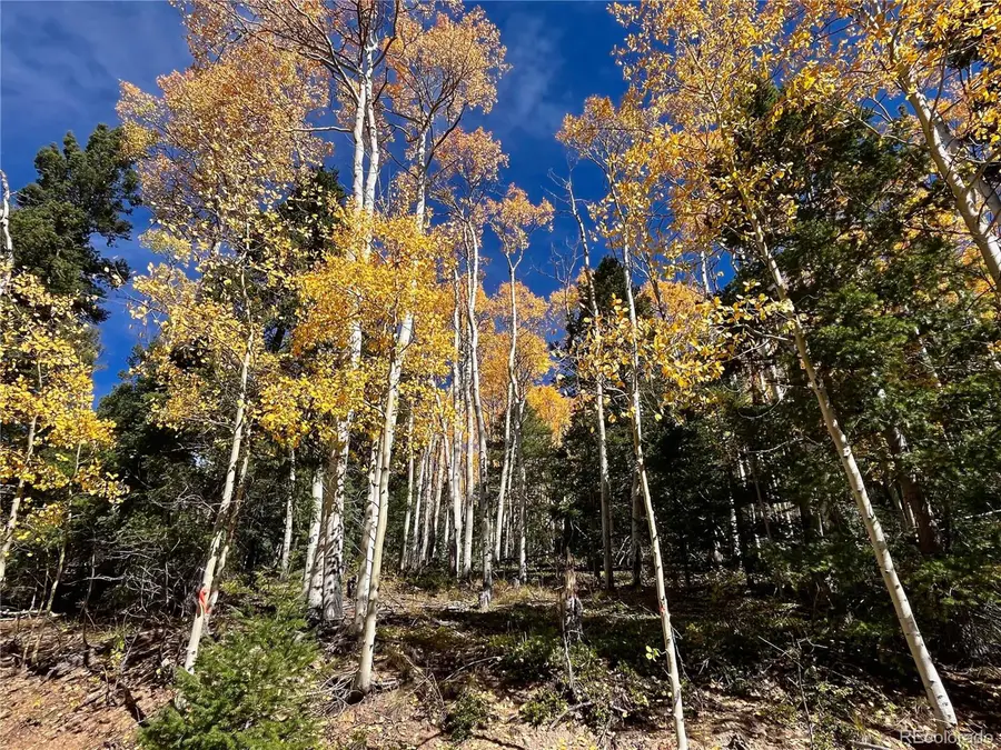 6187 Starkbeather Rd, Fort Garland, CO 81133 - #2
