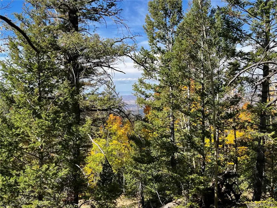 6187 Starkbeather Rd, Fort Garland, CO 81133 - #3
