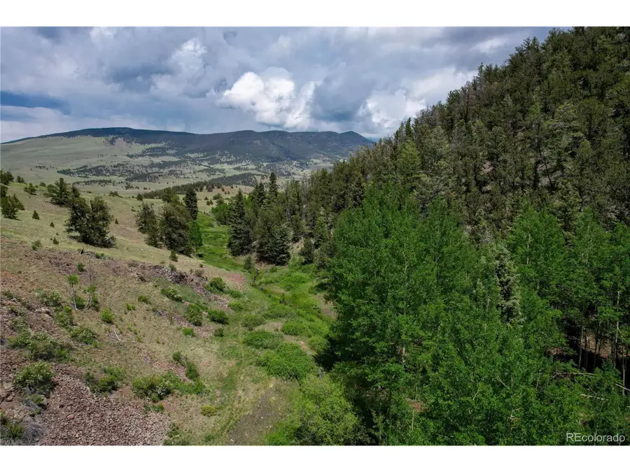 Address Withheld By Seller, Guffey, CO 80820 - Image #3