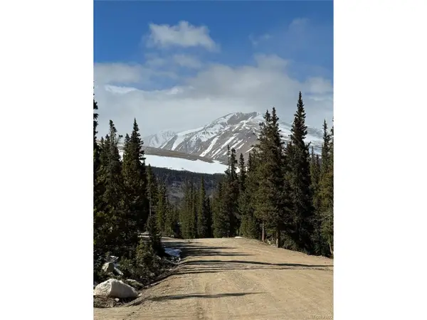 630 Silverheels Pl, Fairplay, CO 80440