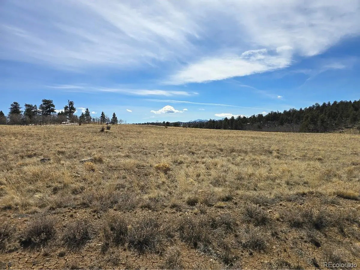 Kataka Rd, Hartsel, CO 80449 - #1