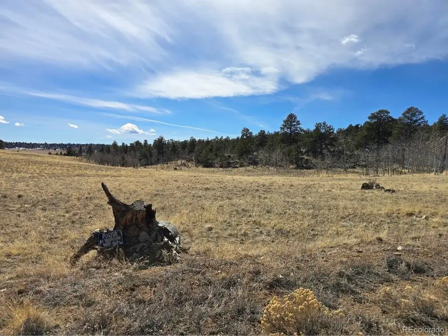 Kataka Rd, Hartsel, CO 80449 - #2