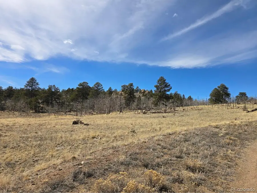 Kataka Rd, Hartsel, CO 80449 - #3