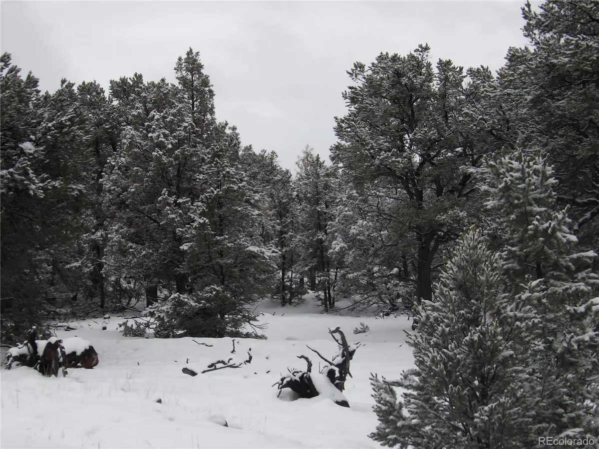 2119 Oriole Overlook, Crestone, CO 81131 - Image #1