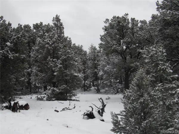 2119 Oriole Overlook, Crestone, CO 81131