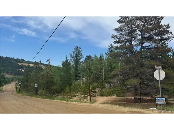 7 Virginia Canyon Rd, Central City, CO 80427