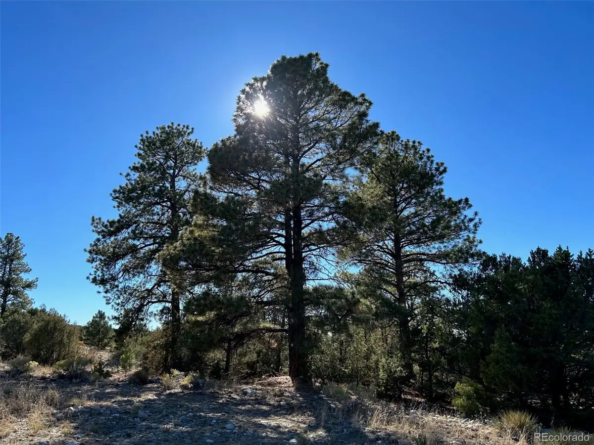 25 Pioneer Rd, Mosca, CO 81144 - #1